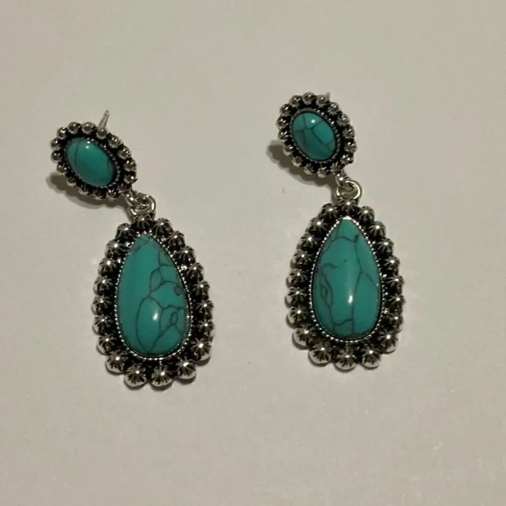 Beautiful Southwestern Earrings NWT  